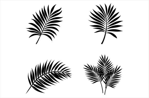 Download Jungle Hawaii Palm Tree Leaf Silhouette - Palm tree leaf Collection