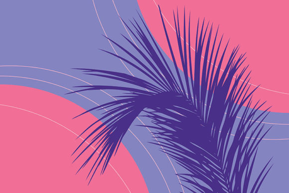 Download Palm Tree Leaf and Geometric Shapes - Palm tree leaf Collection