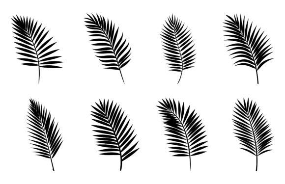 Download Beautiful Palm Tree Leaf Silhouettes Set - Palm tree leaf Collection
