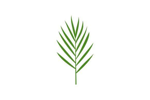 Download Palm Tree Leaf - Palm tree leaf Collection