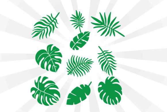 Download Palm Tree Leaf Vector Svg - Palm tree leaf Collection